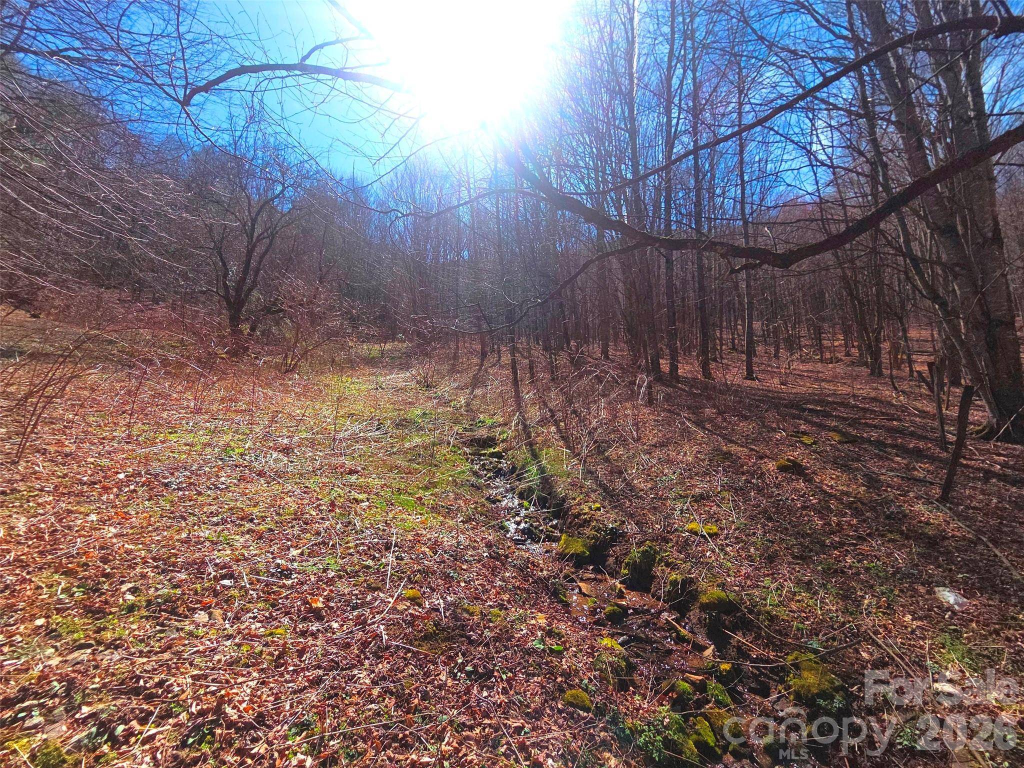 250 Rome Beauty RD #TR5, Waynesville, NC 28785
