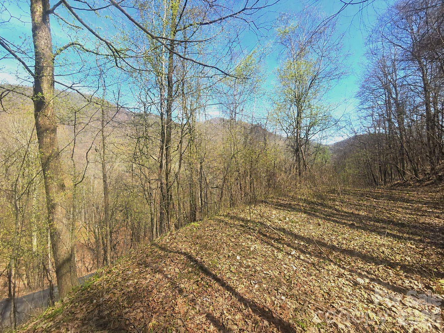 1200 Chestnut Flats LN #138, Waynesville, NC 28786