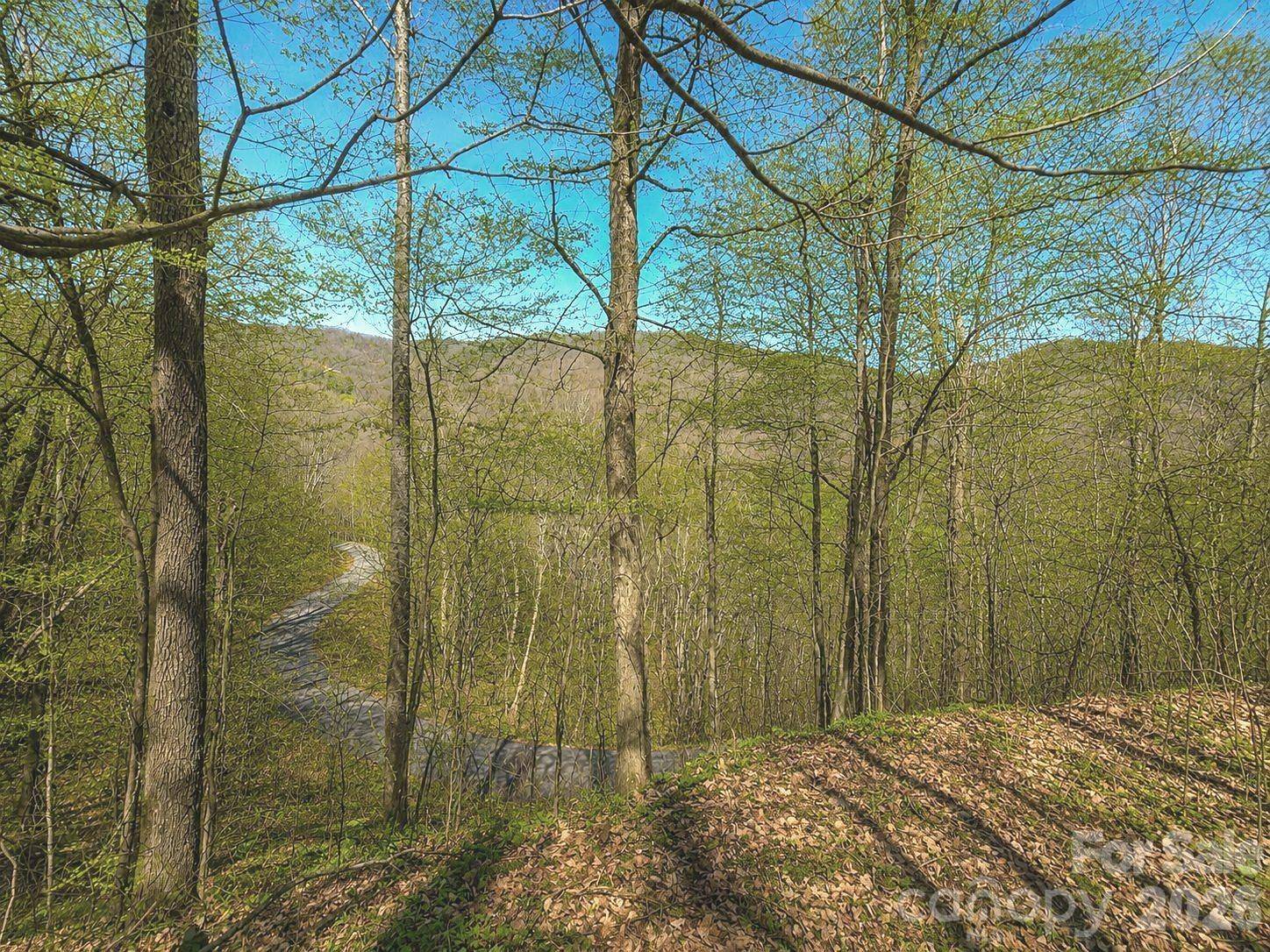 1200 Chestnut Flats LN #138, Waynesville, NC 28786