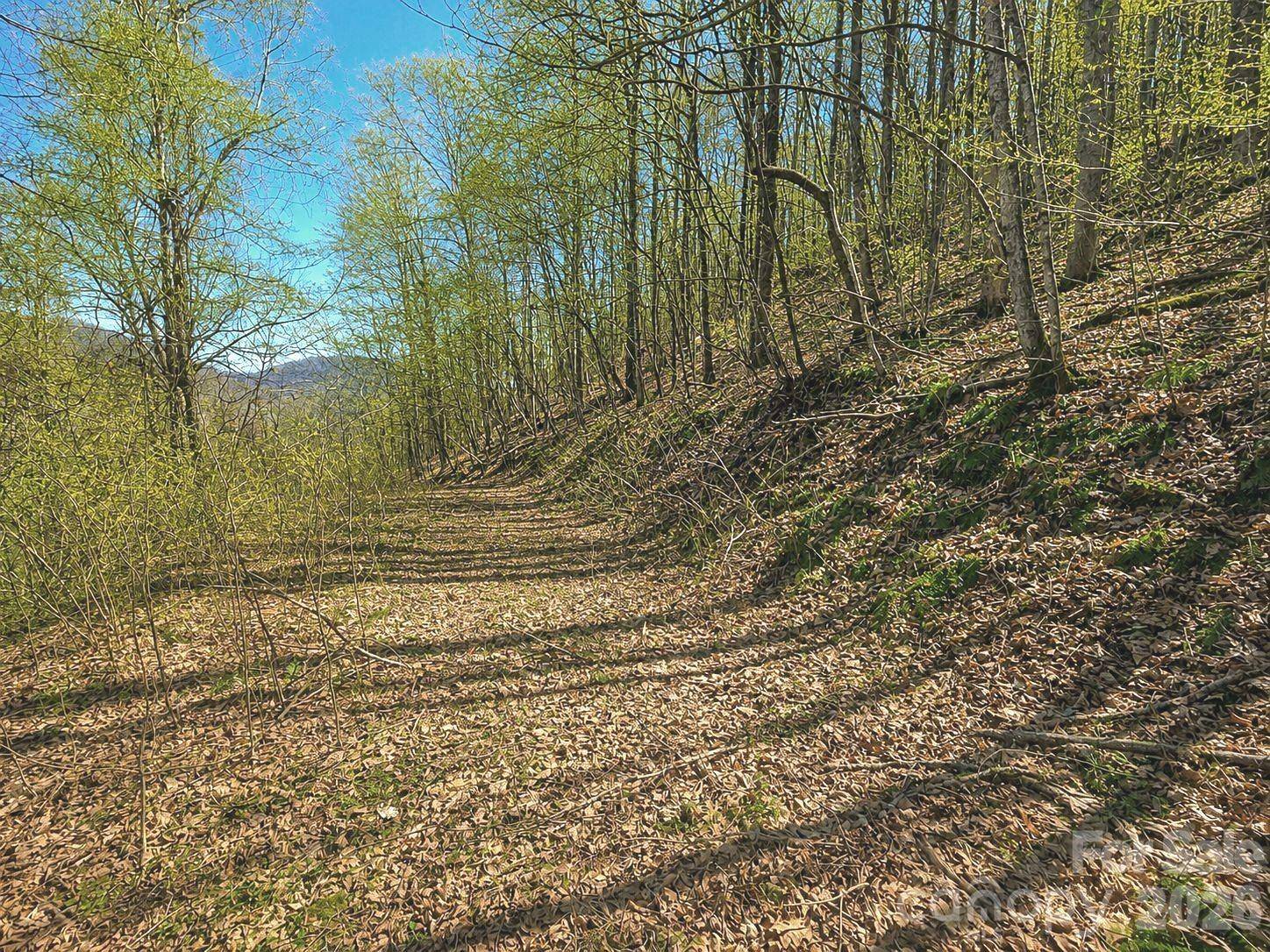 1200 Chestnut Flats LN #138, Waynesville, NC 28786