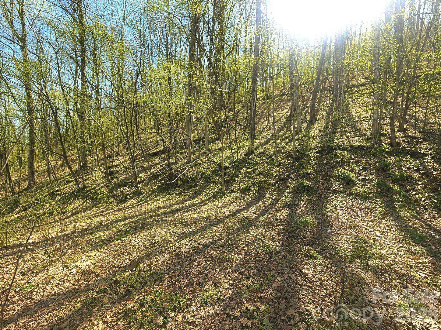 1200 Chestnut Flats LN #138, Waynesville, NC 28786