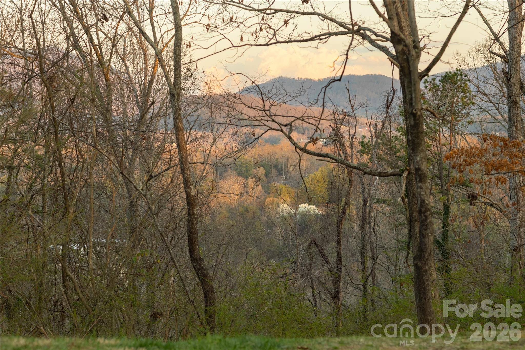 9999 Weaver Hill RD, Asheville, NC 28805