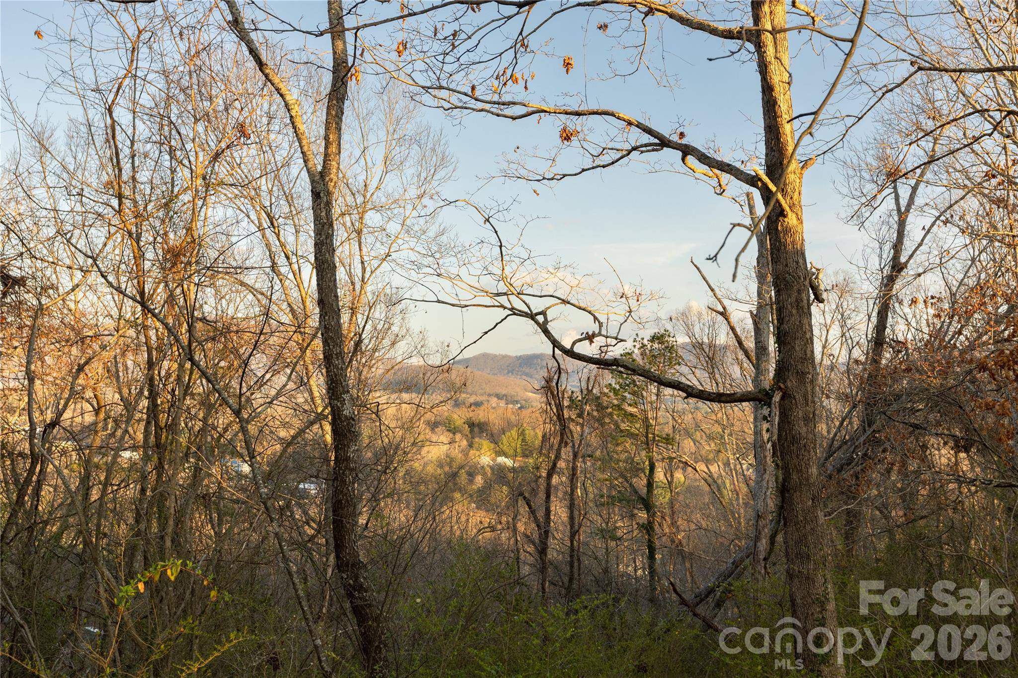 9999 Weaver Hill RD, Asheville, NC 28805