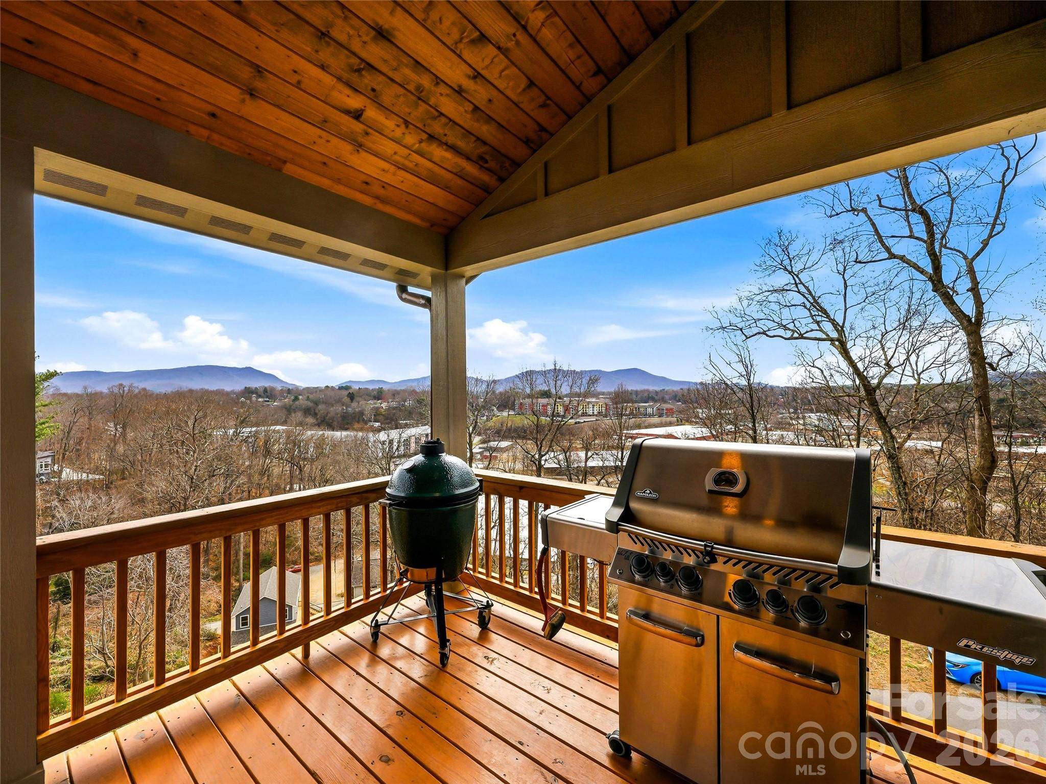 80 Caledonia RD, Asheville, NC 28803