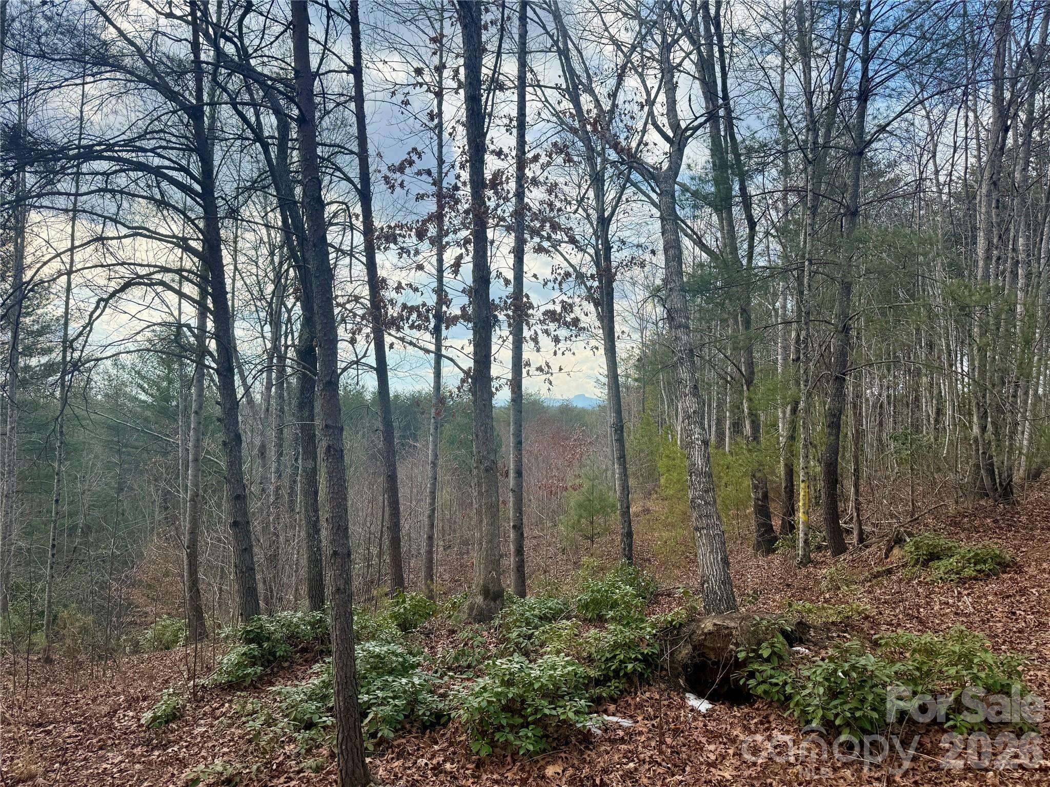 913 High Valley WAY #913, Lenoir, NC 28645