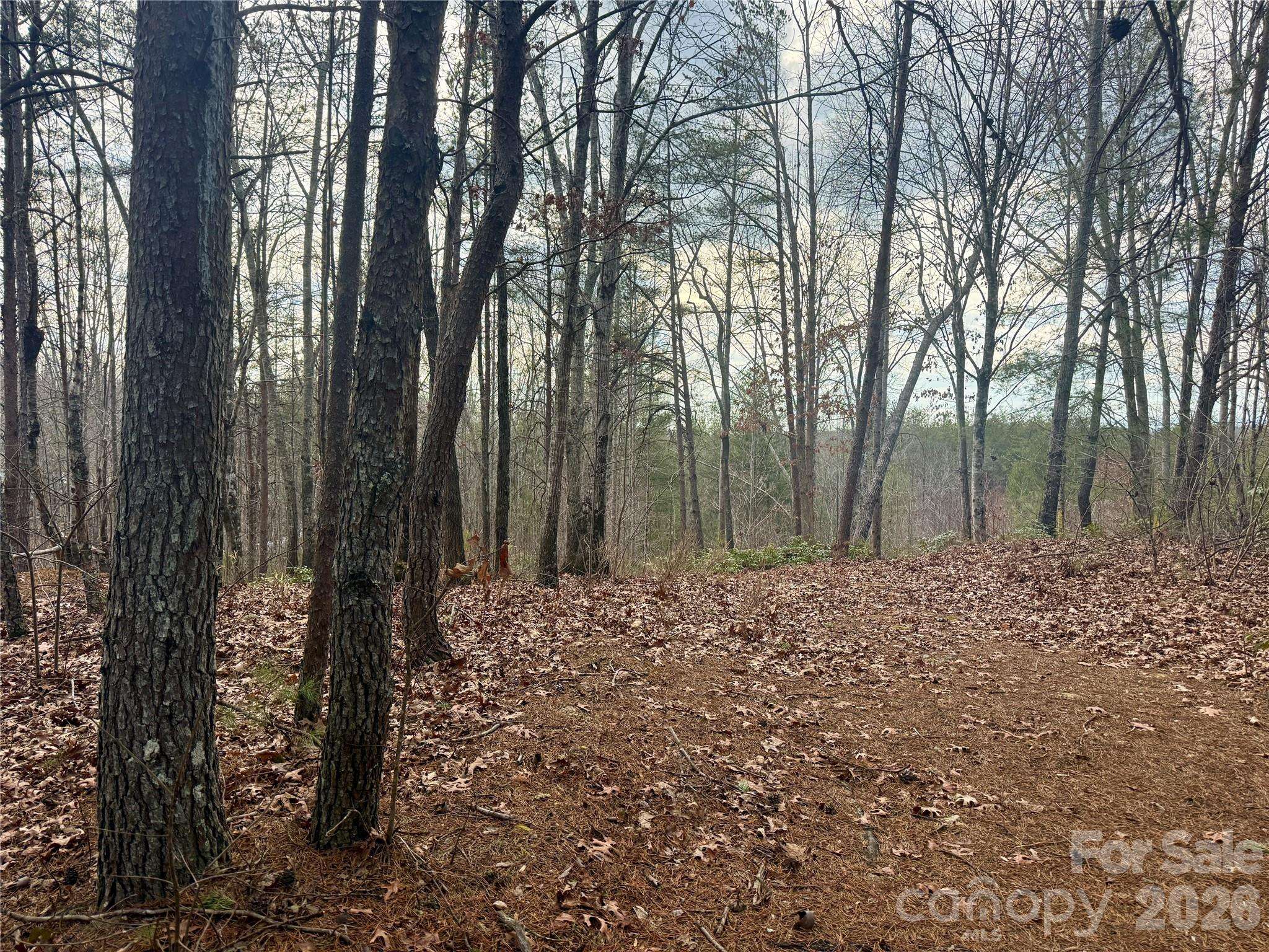 913 High Valley WAY #913, Lenoir, NC 28645