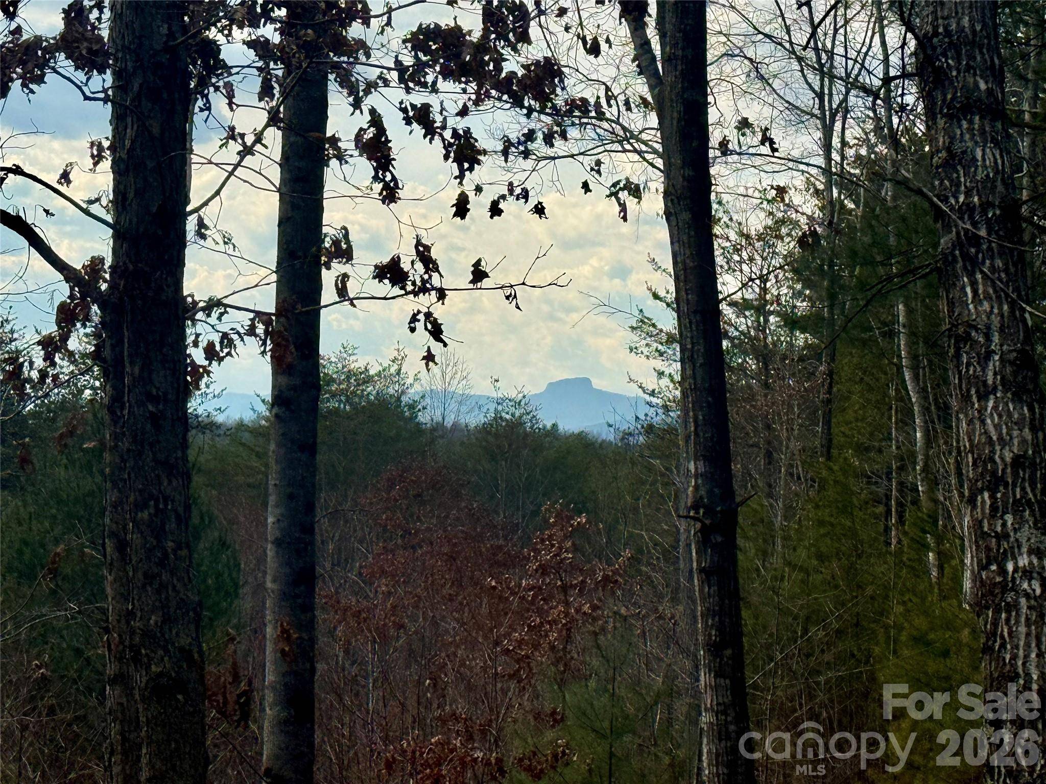 913 High Valley WAY #913, Lenoir, NC 28645