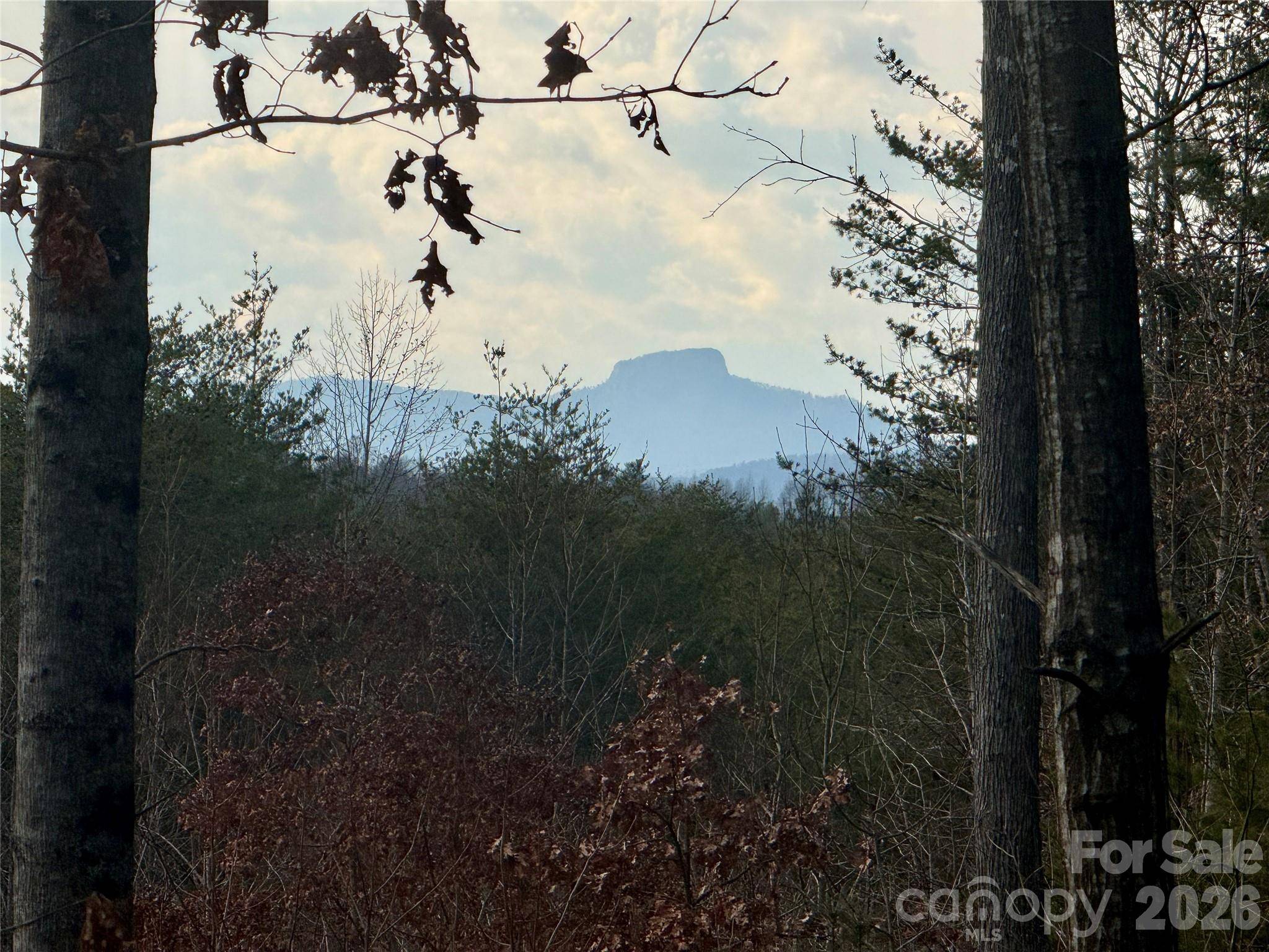 913 High Valley WAY #913, Lenoir, NC 28645