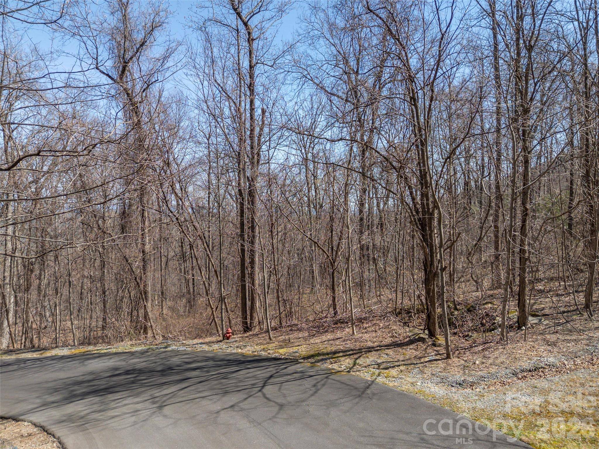 Lot 2130 Weaverly LN, Mill Spring, NC 28756