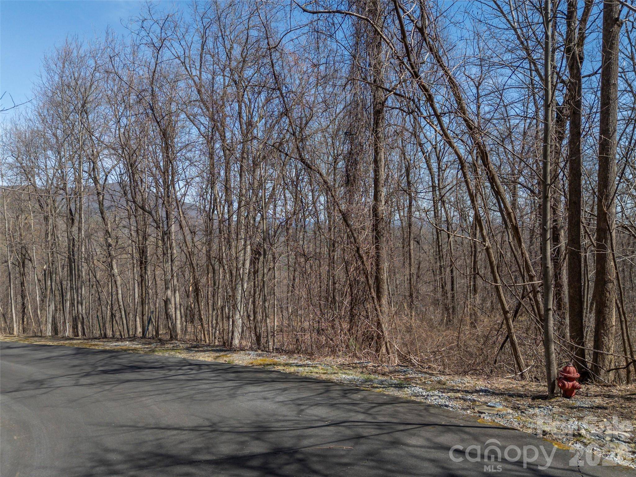 Lot 2130 Weaverly LN, Mill Spring, NC 28756