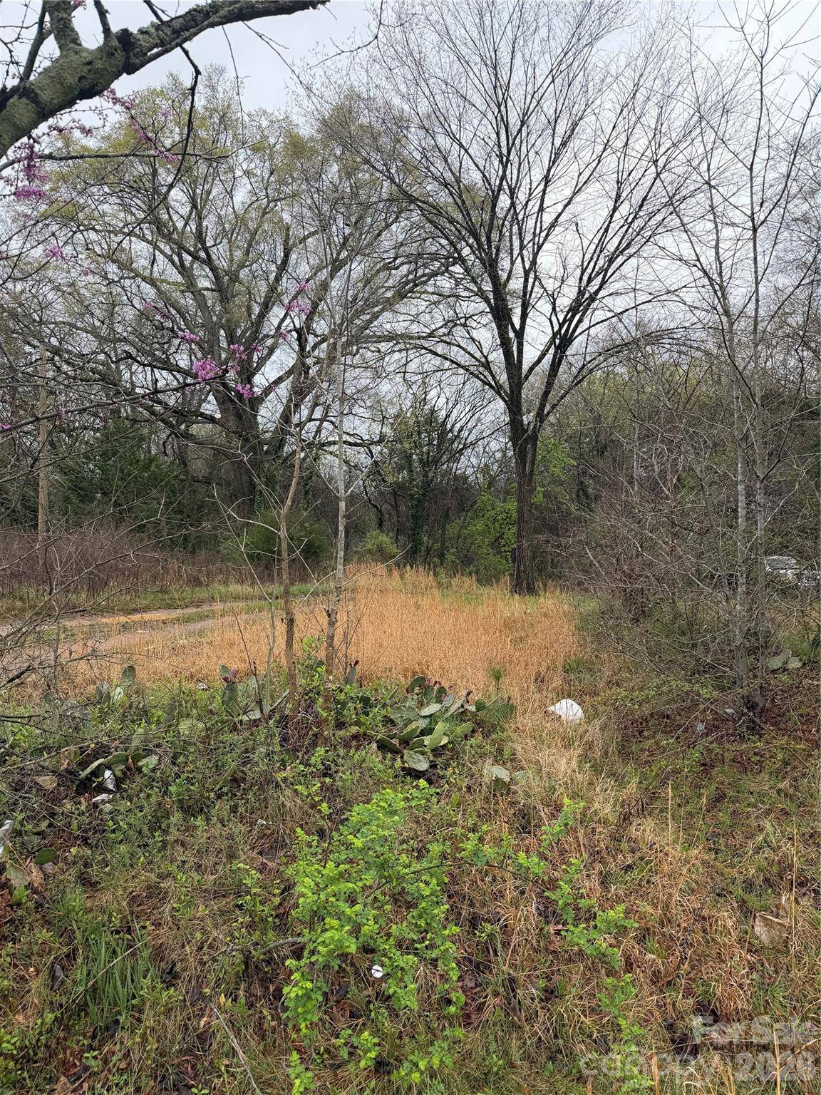 257 Hall AVE NW, Concord, NC 28027