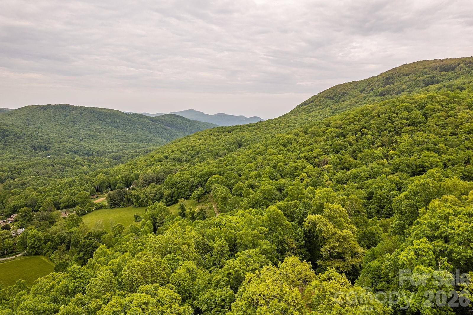 176 McGuffey Ridge RD, Gerton, NC 28735