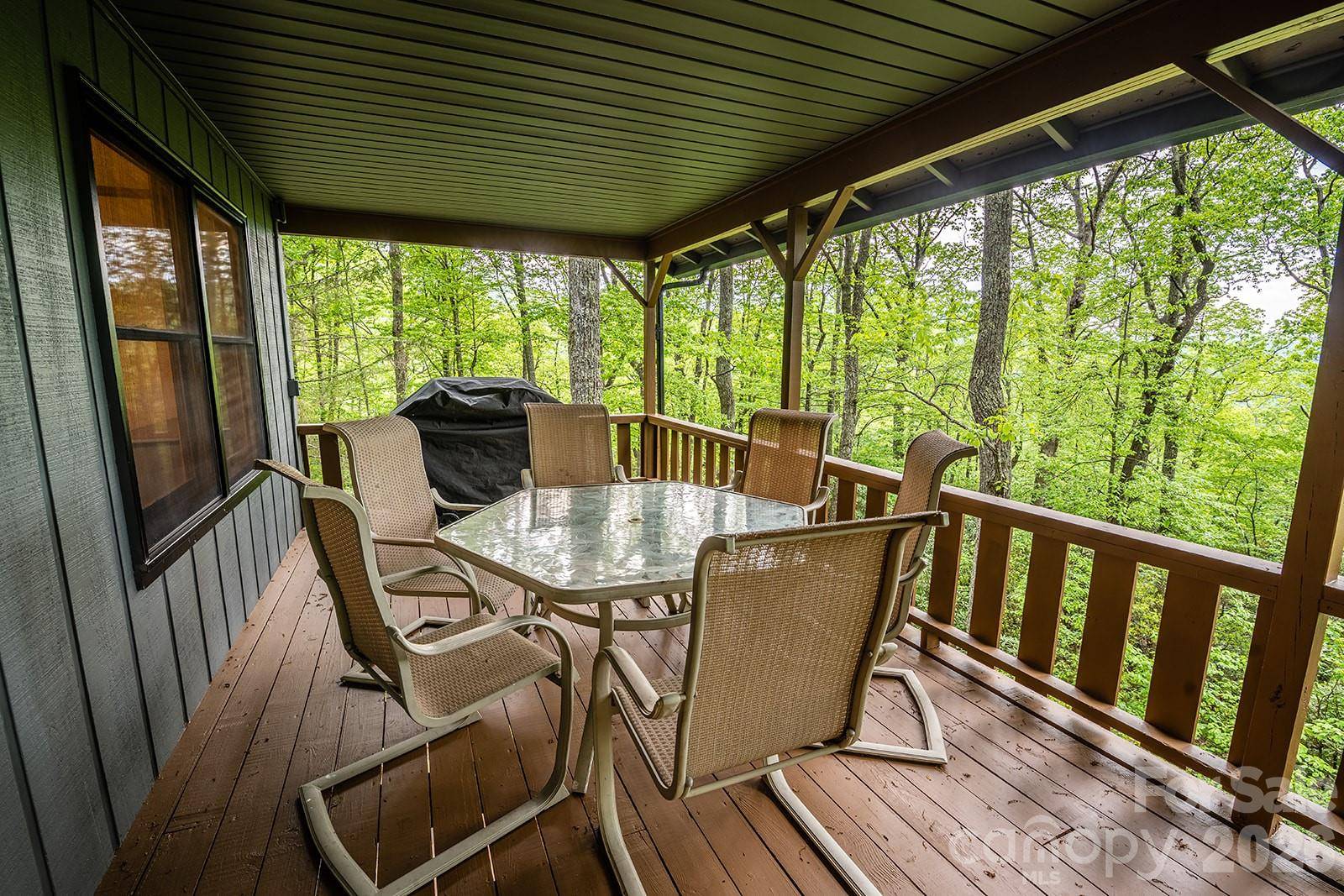 176 McGuffey Ridge RD, Gerton, NC 28735