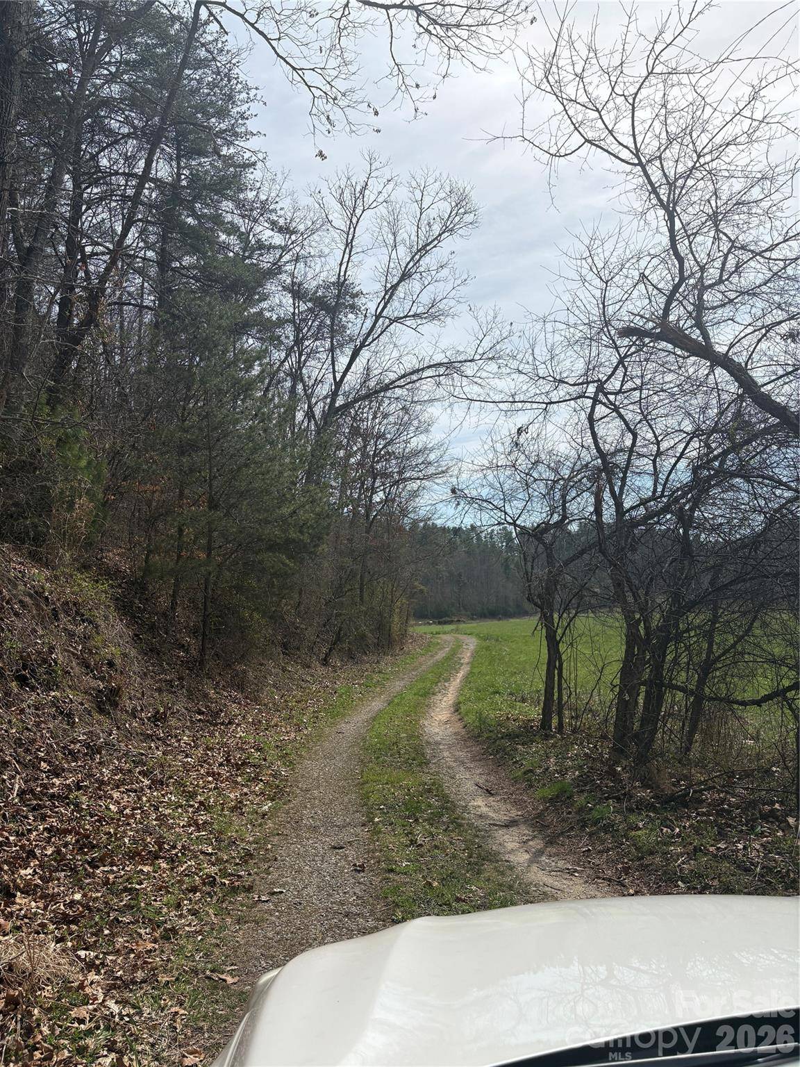 242 area Radford RD #1, Mars Hill, NC 28754