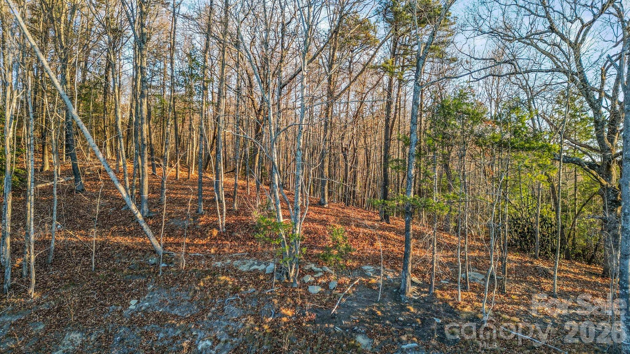 99 Spring Song LN #9, Fletcher, NC 28732