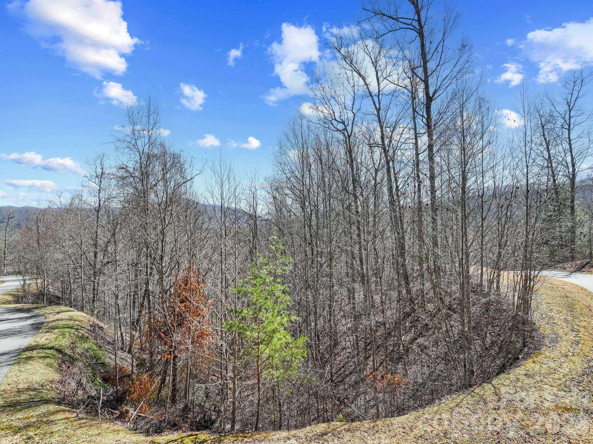 141 Sanctuary WAY #13, Marshall, NC 28753