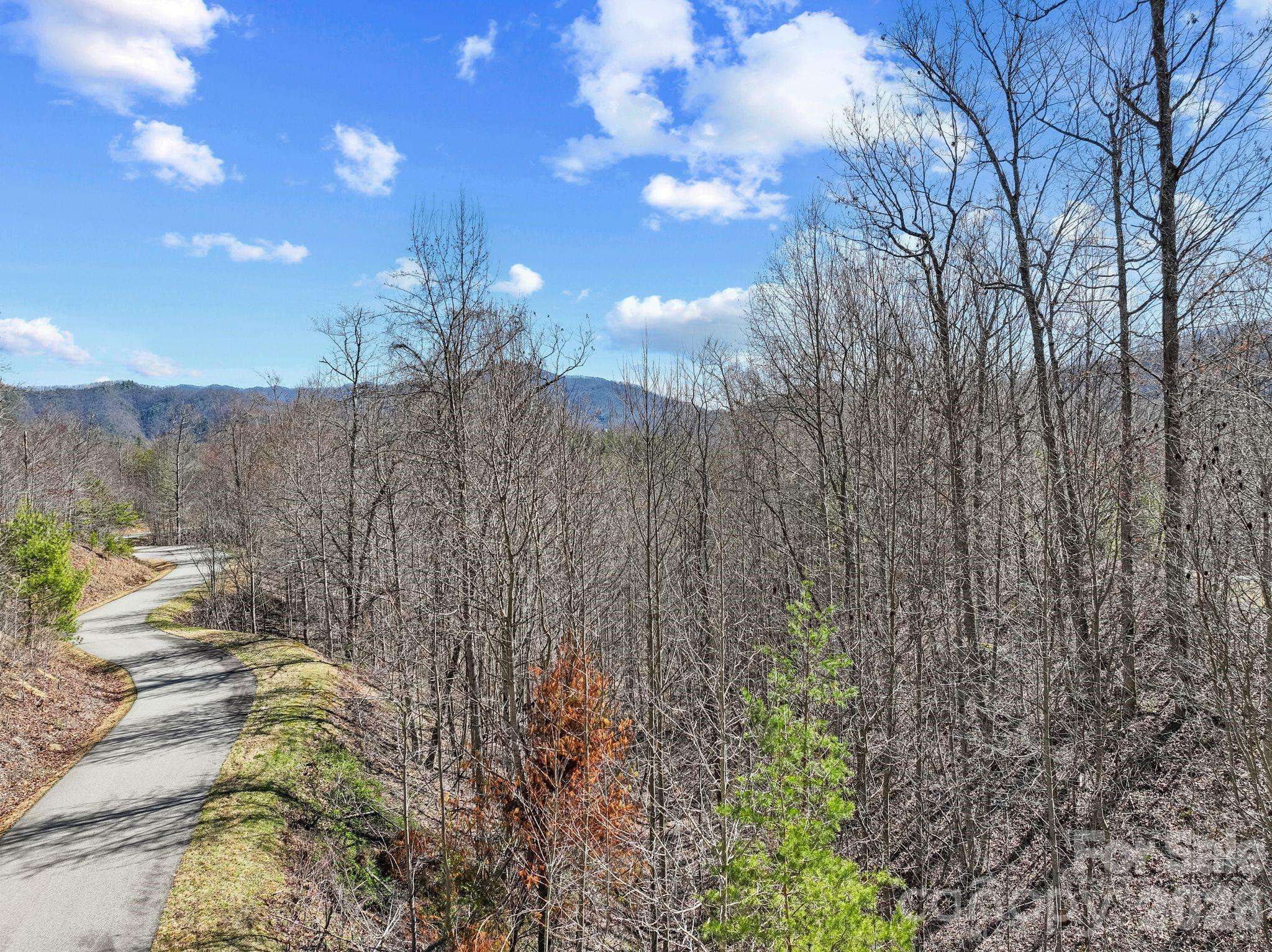 141 Sanctuary WAY #13, Marshall, NC 28753