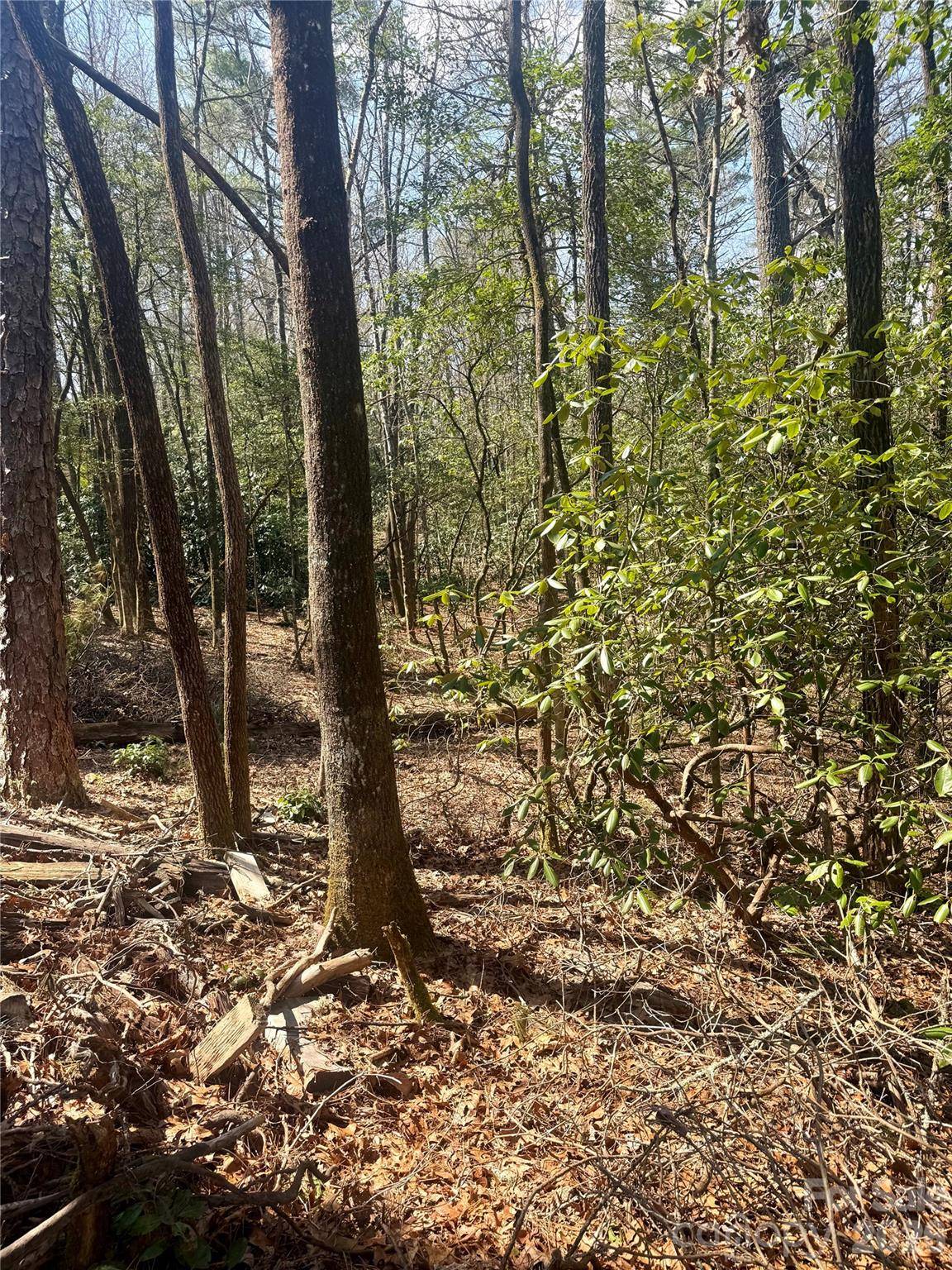 TBD Minerva LN #Lots 79,80,84, Sapphire, NC 28774