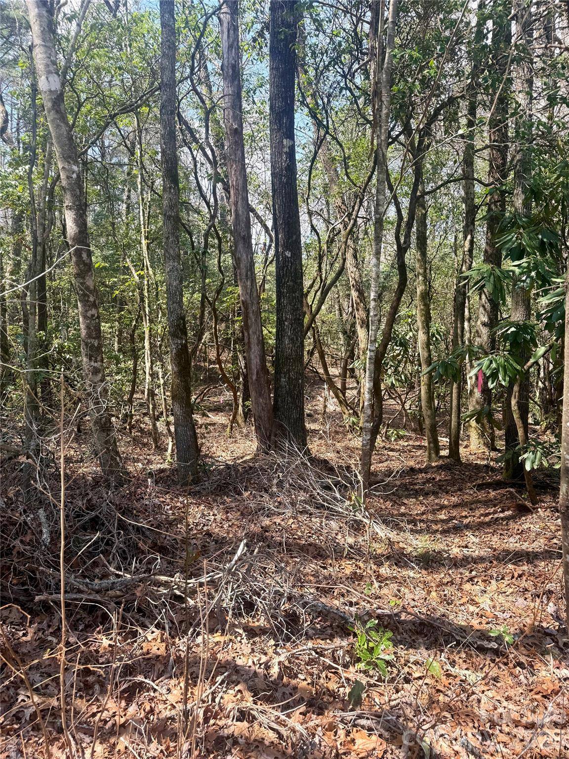 TBD Minerva LN #Lots 79,80,84, Sapphire, NC 28774