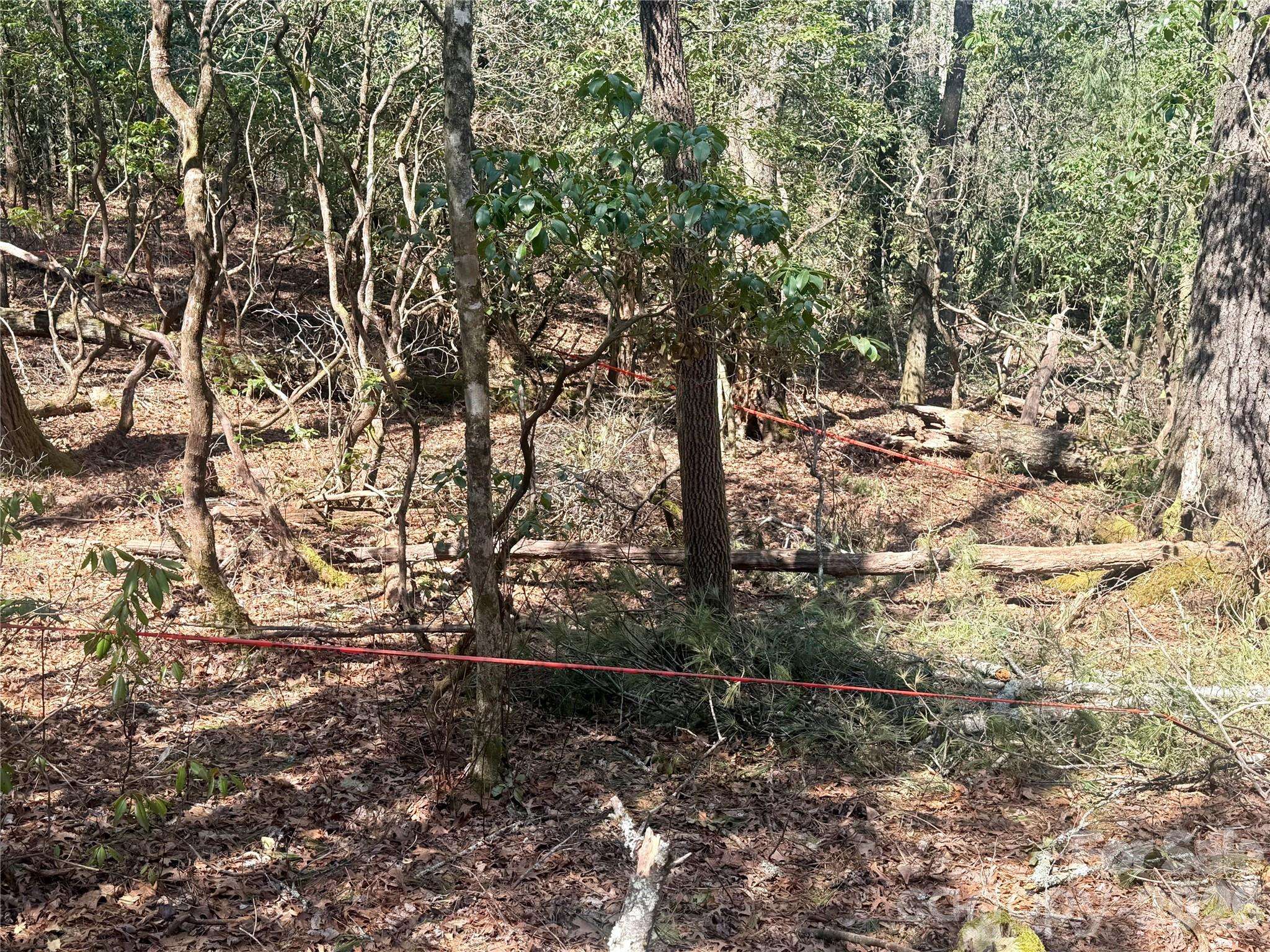 TBD Minerva LN #Lots 79,80,84, Sapphire, NC 28774