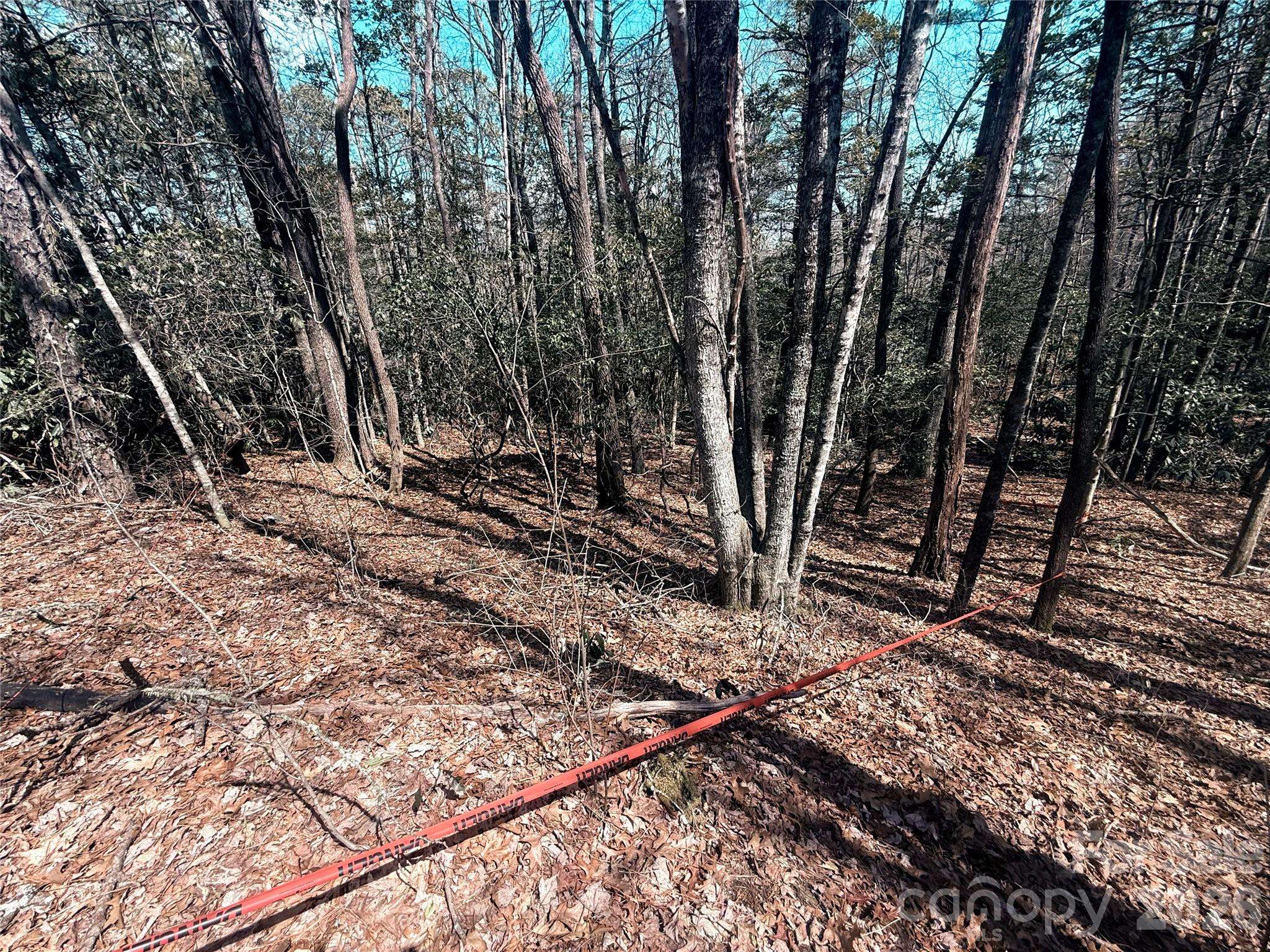 TBD Minerva LN #Lots 79,80,84, Sapphire, NC 28774