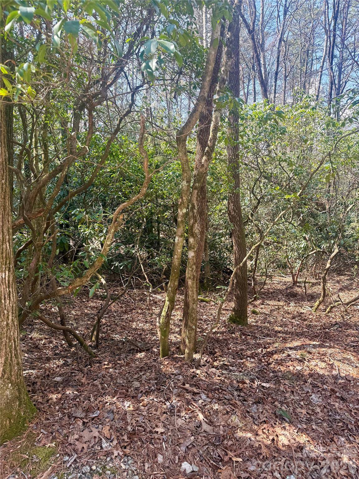 TBD Minerva LN #Lots 79,80,84, Sapphire, NC 28774