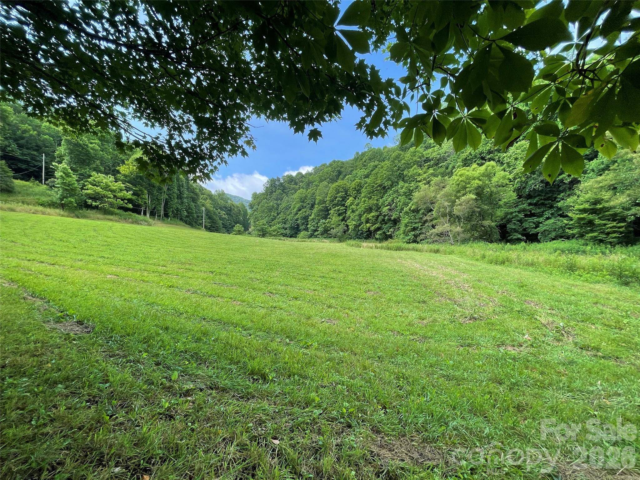 TBD Sugar Camp RD, Marshall, NC 28753