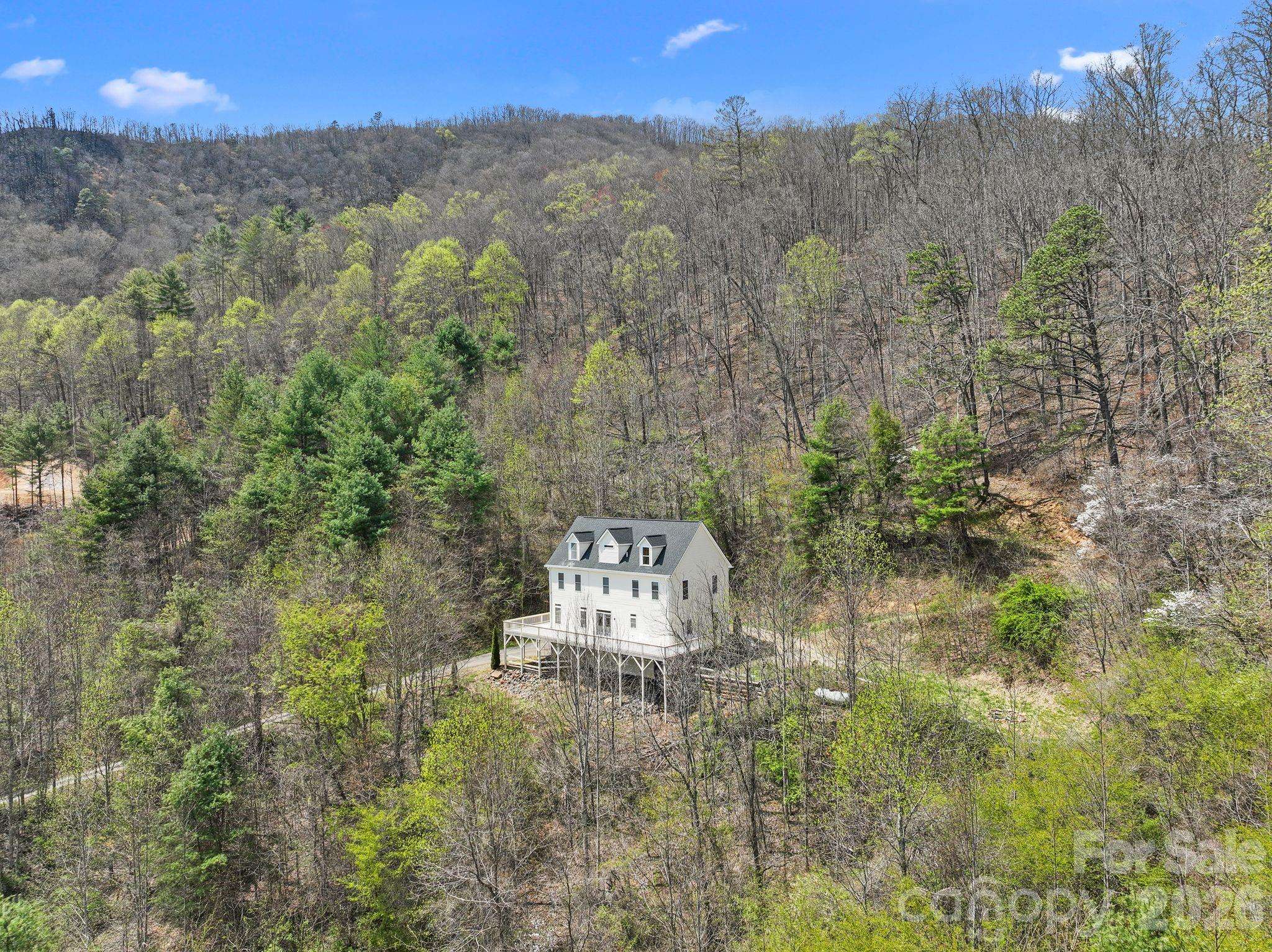 267 Eagles TRCE, Canton, NC 28716