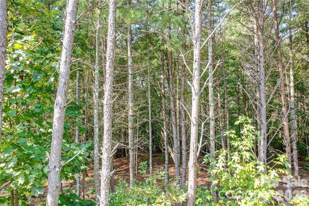 2377 Ivy Rays WAY #56, Nebo, NC 28761