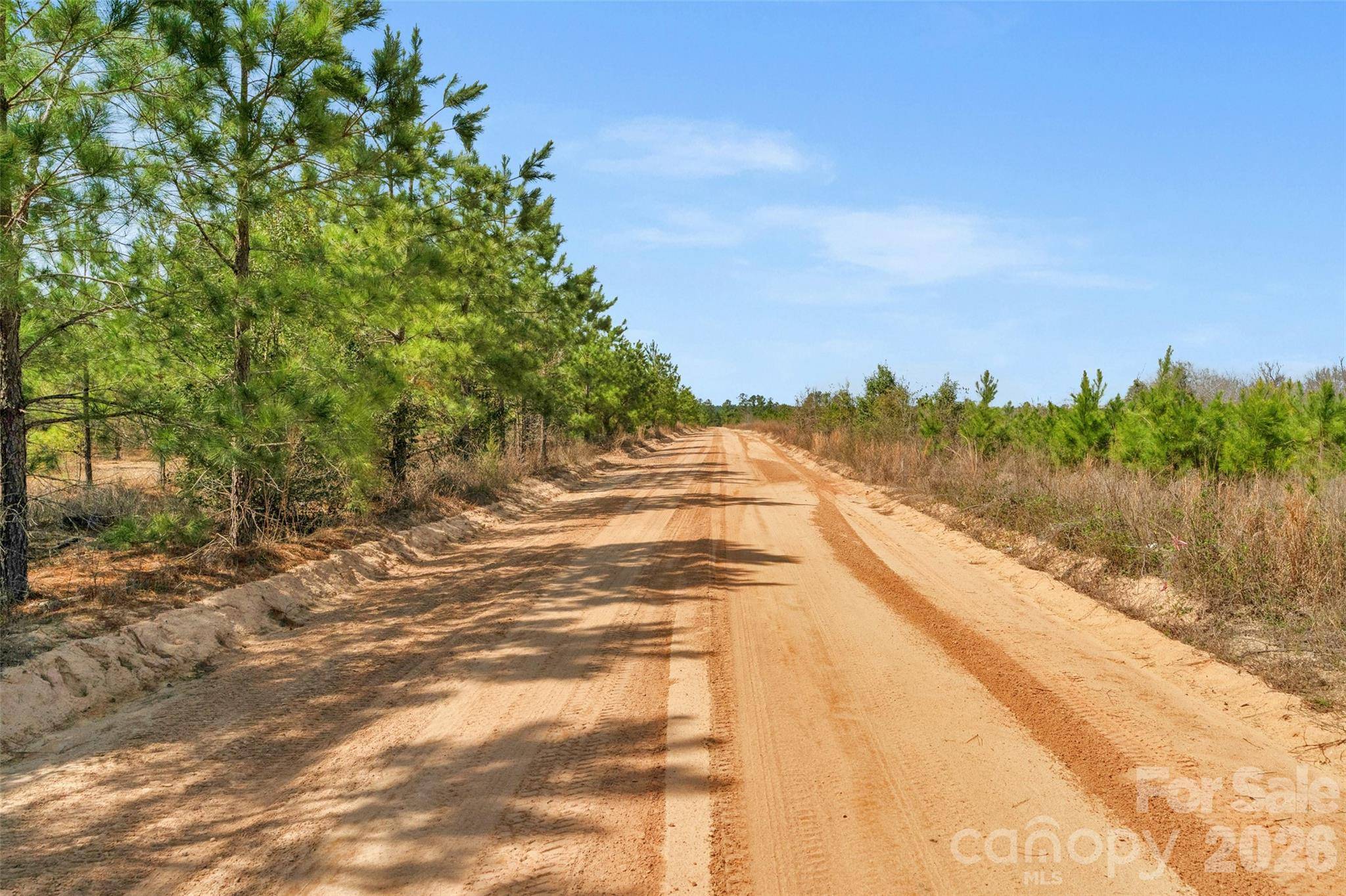 931 Charlie Johnson RD #8, Kershaw, SC 29067
