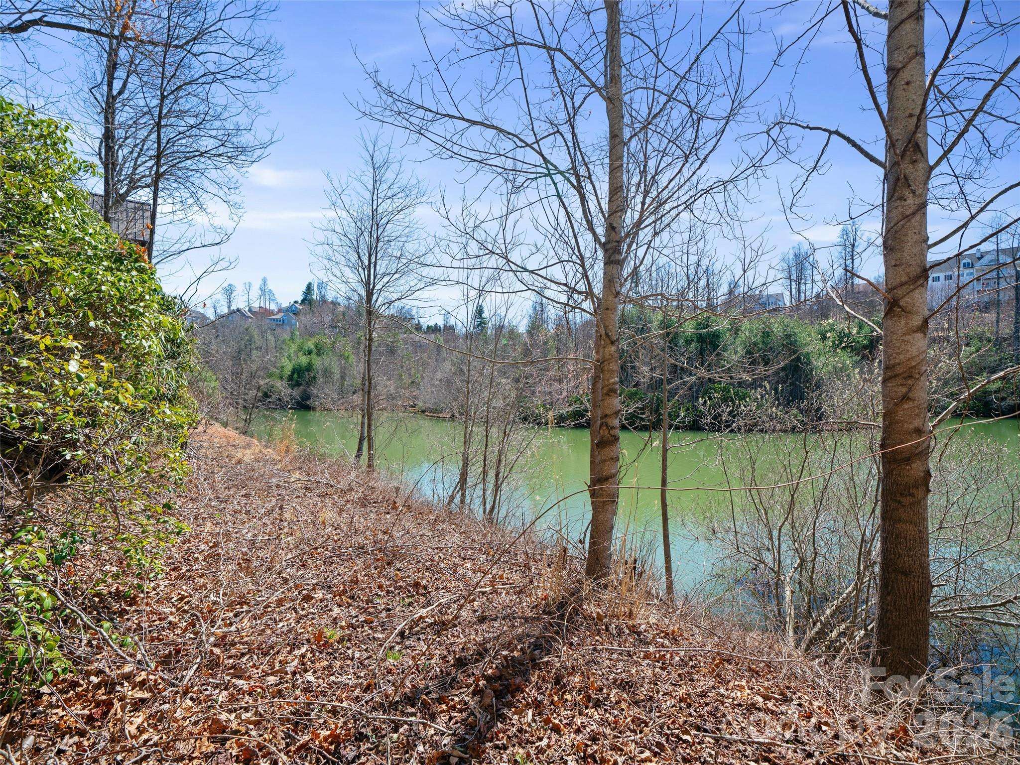 82 Narrows Run LOOP, Hendersonville, NC 28791