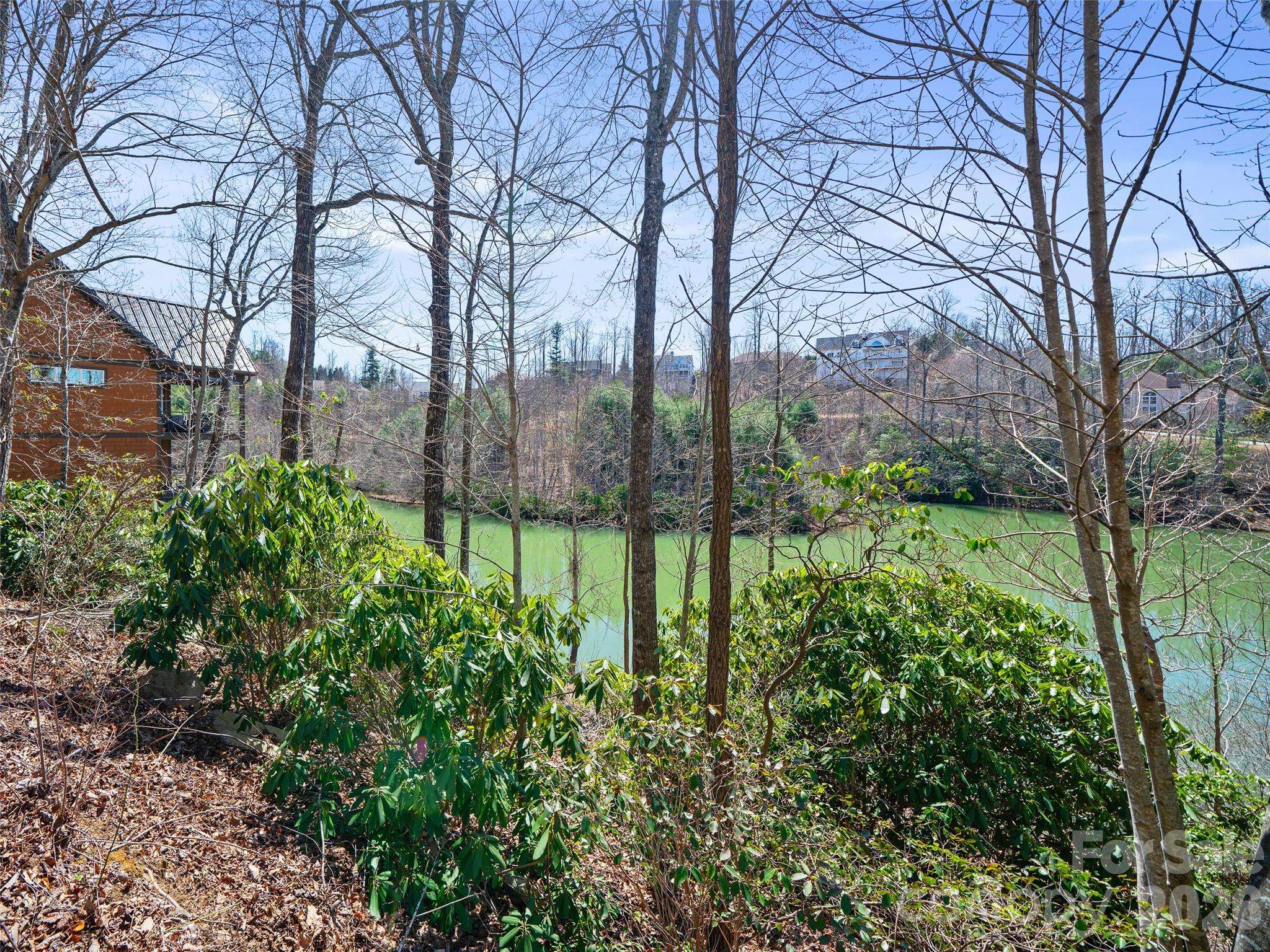 82 Narrows Run LOOP, Hendersonville, NC 28791