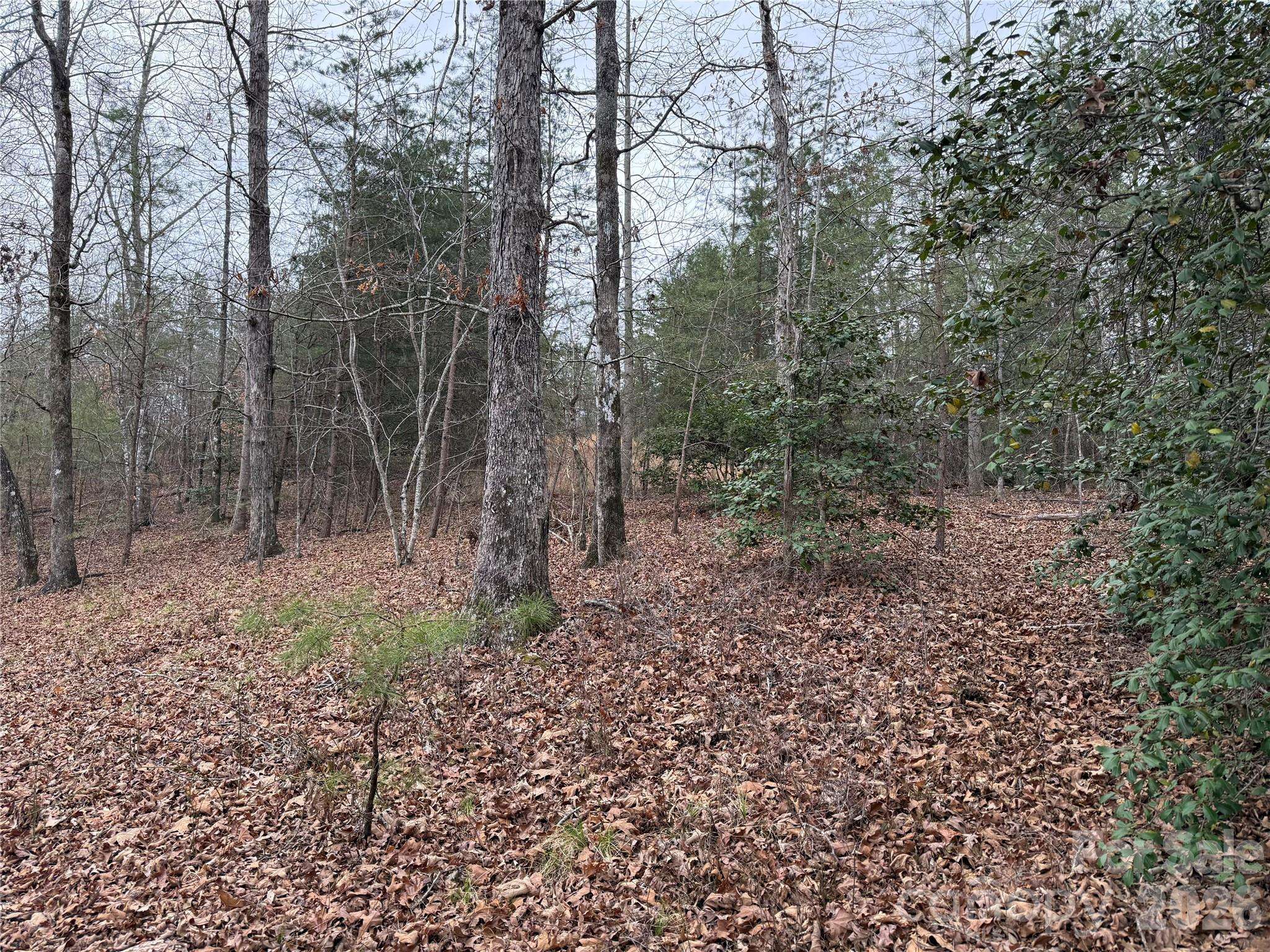 0 Shady Bark LN #40, Rutherfordton, NC 28139