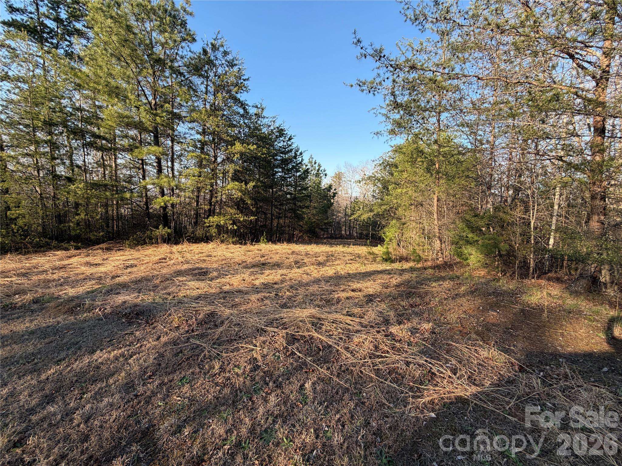 0 Shady Bark LN #40, Rutherfordton, NC 28139