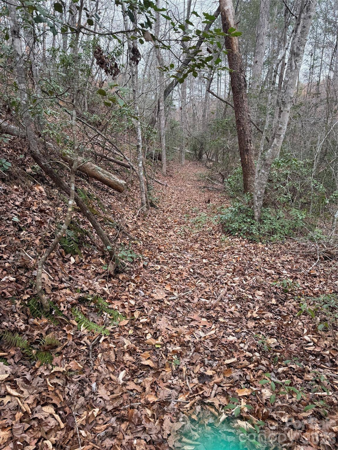 0 Shady Bark LN #40, Rutherfordton, NC 28139