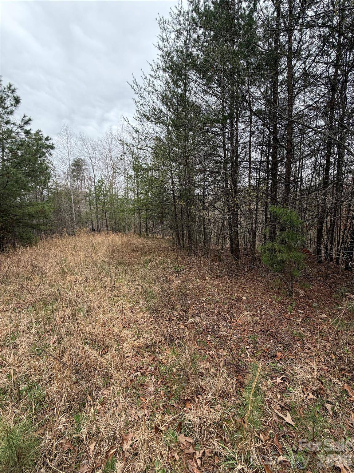 0 Shady Bark LN #40, Rutherfordton, NC 28139