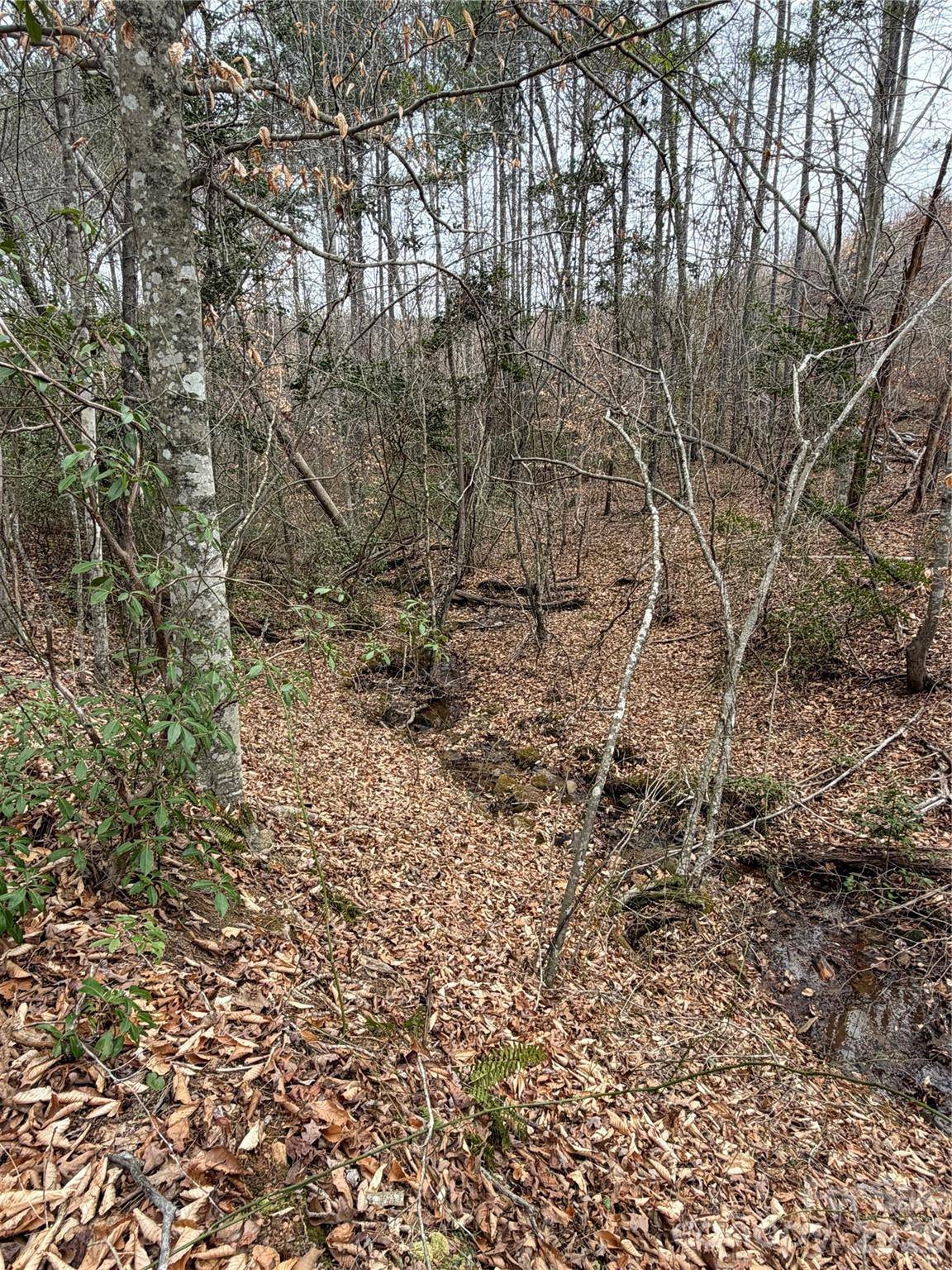 0 Shady Bark LN #40, Rutherfordton, NC 28139