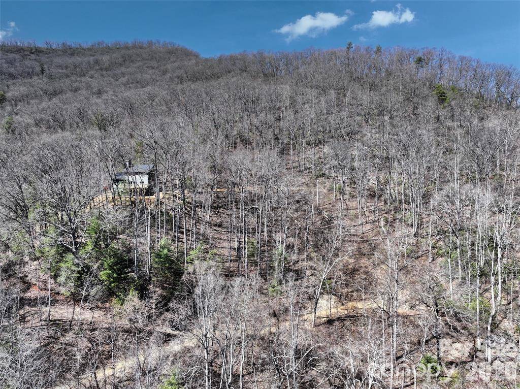 11 Taryn TRCE #16, Barnardsville, NC 28709