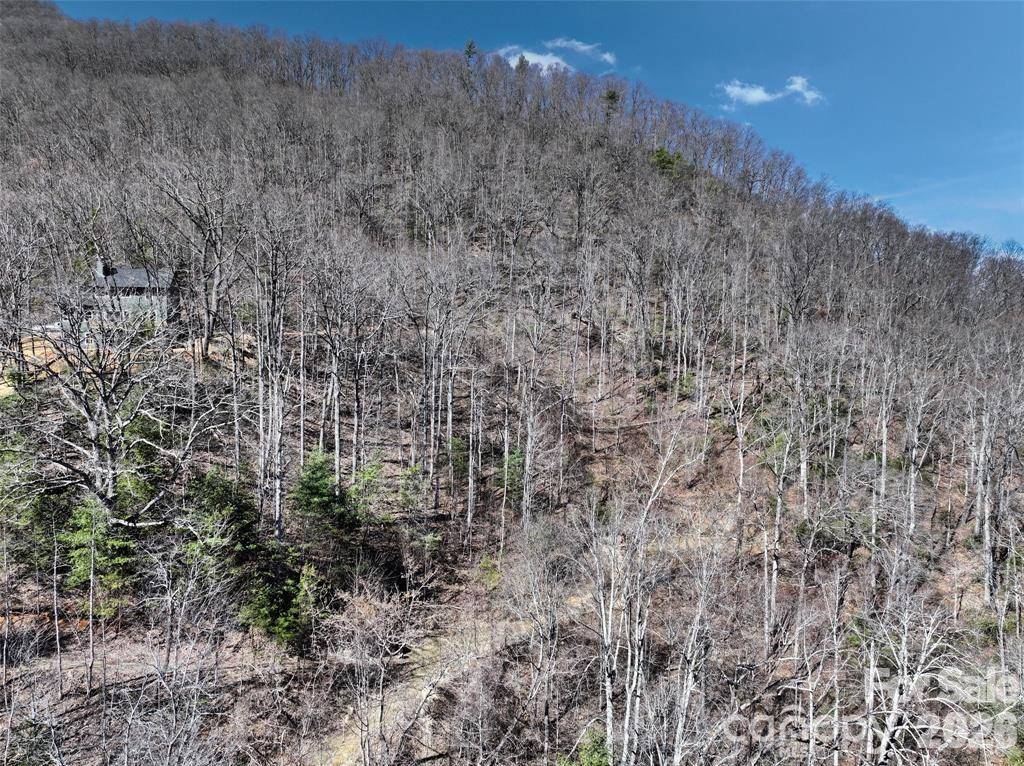 11 Taryn TRCE #16, Barnardsville, NC 28709