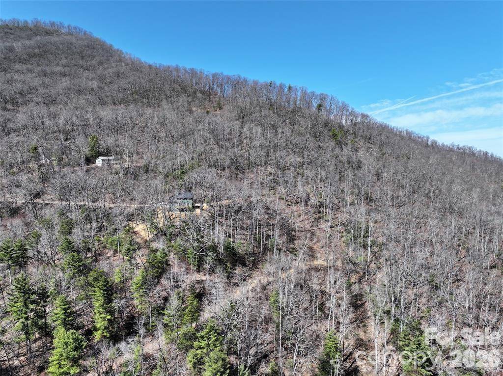 11 Taryn TRCE #16, Barnardsville, NC 28709