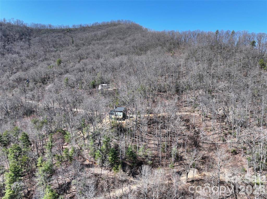 11 Taryn TRCE #16, Barnardsville, NC 28709