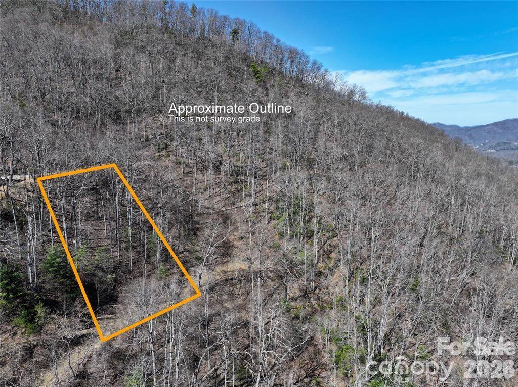 11 Taryn TRCE #16, Barnardsville, NC 28709