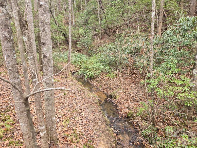 575 Shannons WALK, Lake Lure, NC 28746