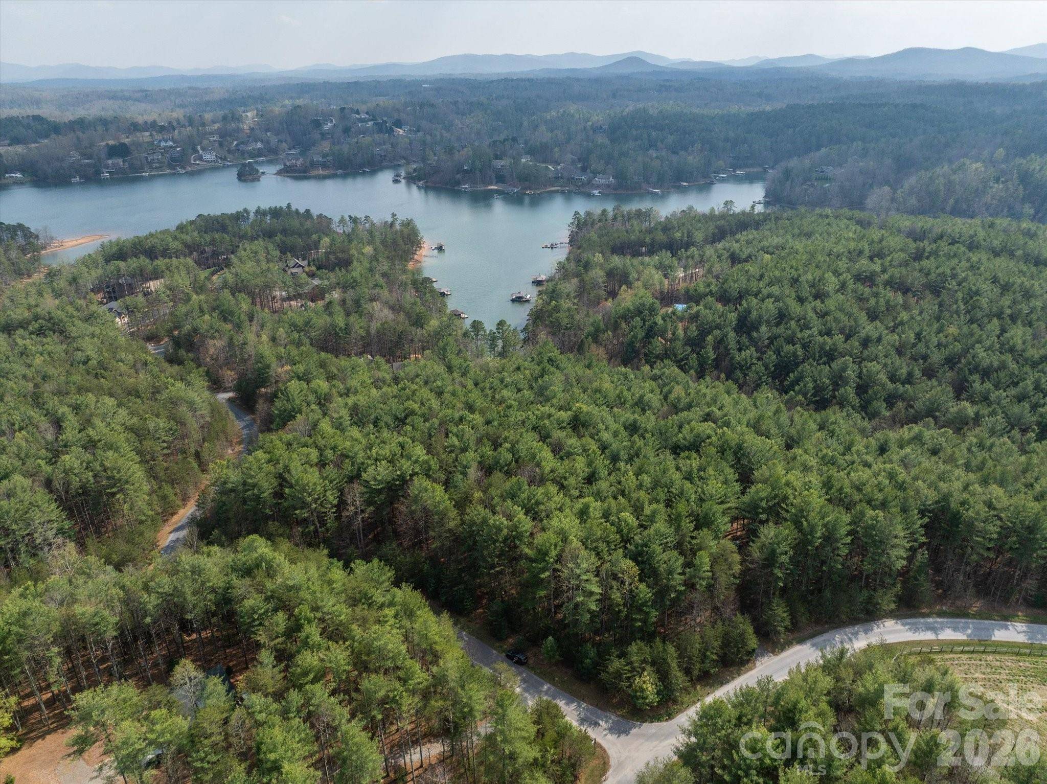 40 Turtle Head DR, Nebo, NC 28761