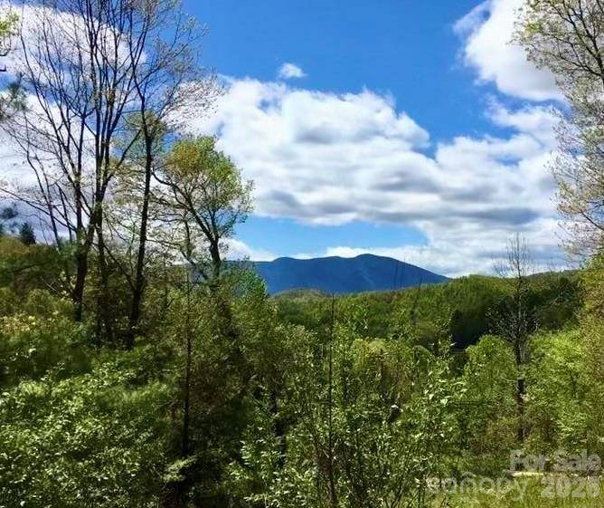 65 Blue Ridge Gem Mine RD, Little Switzerland, NC 28777
