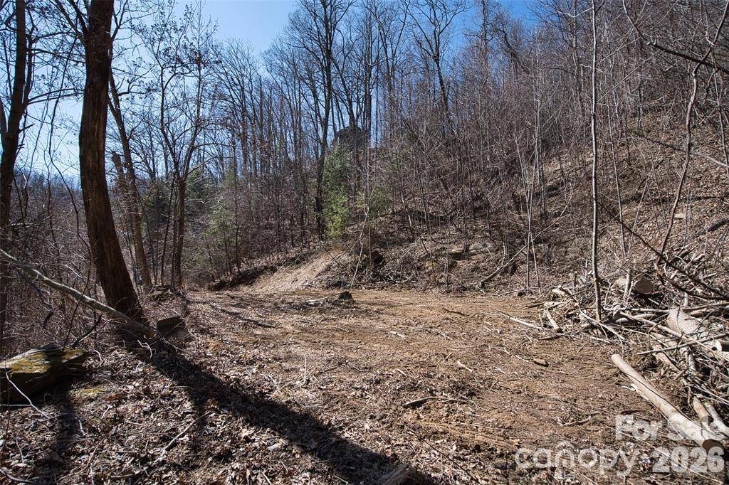 99999 Green Ridge Falls RD #17, Barnardsville, NC 28709