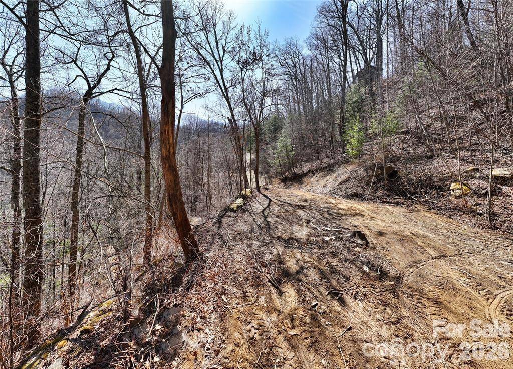 99999 Green Ridge Falls RD #17, Barnardsville, NC 28709