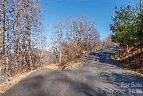 96 Castanea Mountain DR, Asheville, NC 28803