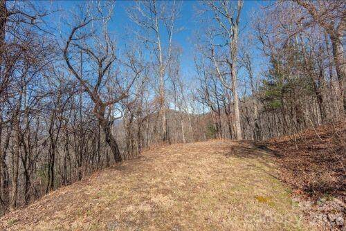 96 Castanea Mountain DR, Asheville, NC 28803