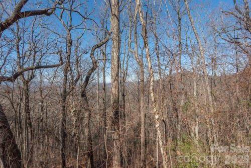 96 Castanea Mountain DR, Asheville, NC 28803